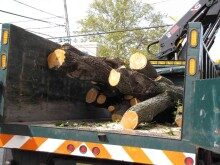 rb-trees-3-100813-220x165-7464815
