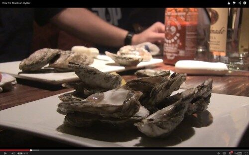 jamian-oyster-112413-2-500x312-7969033