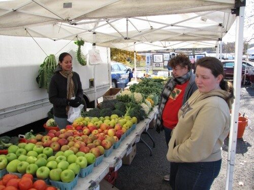 apples-500x375-5596677