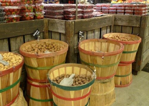 nuts-500x356-8944905