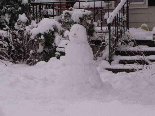 rb-snowman-020314-1-500x375-5713177
