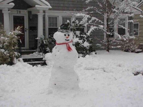 rb-snowman-020314-8-500x375-9465467