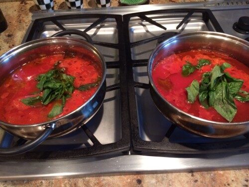 sauces-500x375-4126238