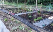 053114fhgardenwhirleygig-220x133-2162044