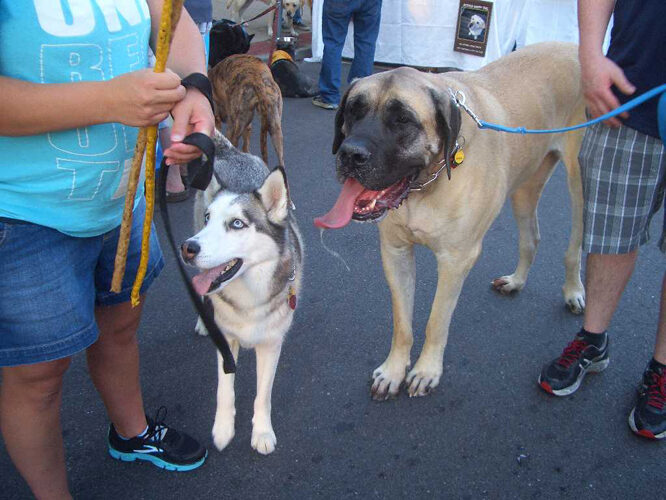 rb-dog-days-073013-8-9678148