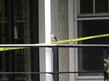 rbpl-bird-071414-1-220x165-2249927