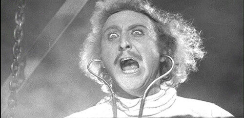 young-frankenstein-500x241-9425966