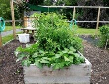 073114-shrewsbury-garden-ada-220x170-7592013