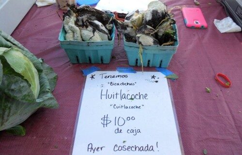 082414-rbfarmers-mkt-500x319-5098393