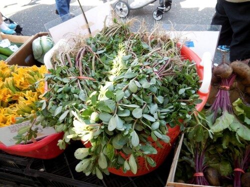 082414-rbfarmers-mkt3-500x375-4136889