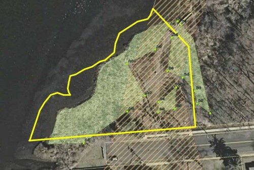bellhaven-wetland-map-1-500x334-2791124
