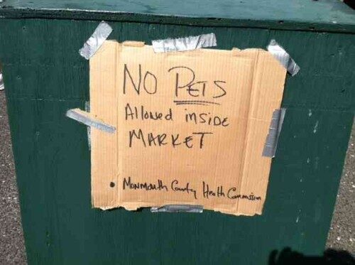 no-pets-081014-500x373-9172812