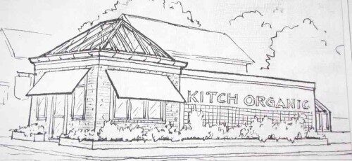 kitch-organic-090414-1-500x230-9786546