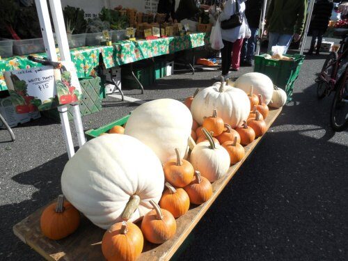100514-rbfarmmkt4-500x375-7614477