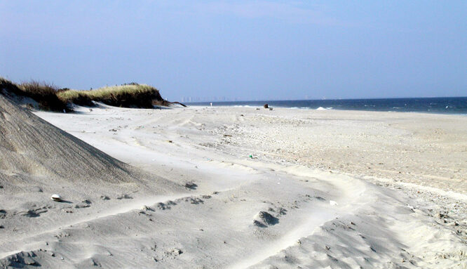 sandyhook-nps-4769019