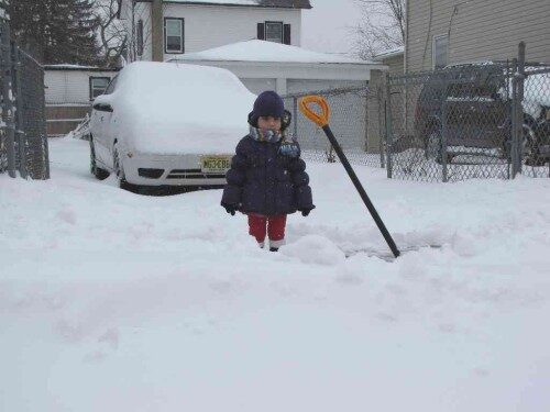 snow-012715-12-500x375-5797540