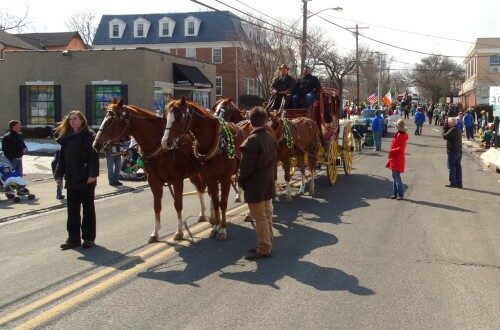030815-rumson-st-pats-parade27-500x330-8209605