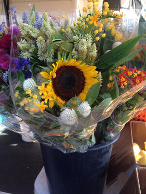 sbfm_flowers-8188544