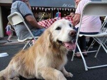 rb-dogs-061714-6-220x165-2246442