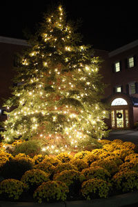 tree-lighting_special-events200-9025498