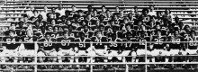 rbr-bucs-1975-220x80-9428616