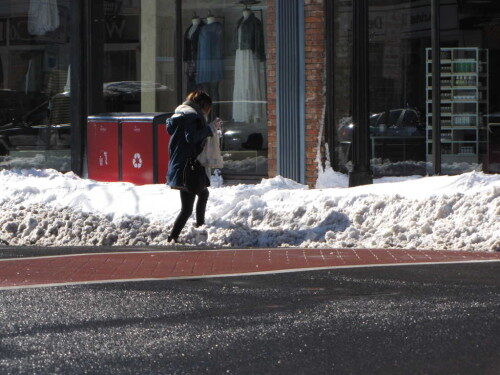 blizzard-012416-9-500x375-6478087