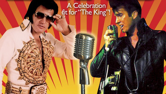elvis-5491931