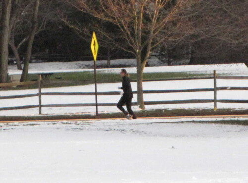 fh-runner-020616-500x369-6361152