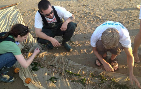 american-littoral-society-5740618