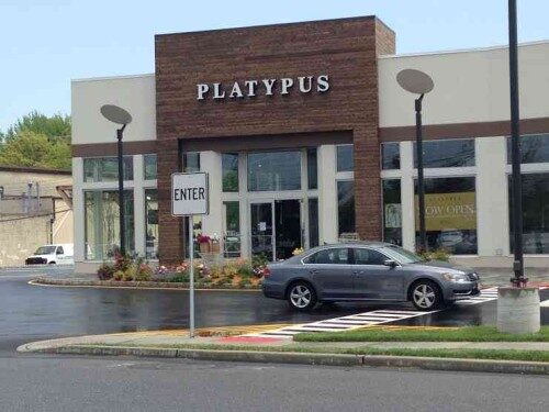 platypus-051115-500x375-2056271