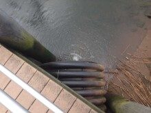 rb-sewer-outfall-050816-220x165-6847469