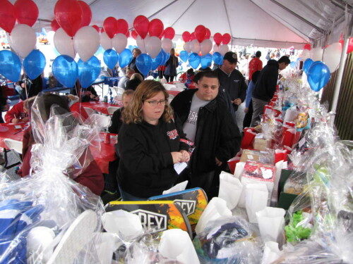 rbc-carnival-050716-8-500x375-9180469
