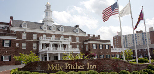 molly-front-500x239-1771412