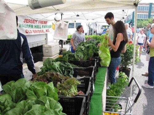 rb-farm-mkt-051715-11-500x375-9000695