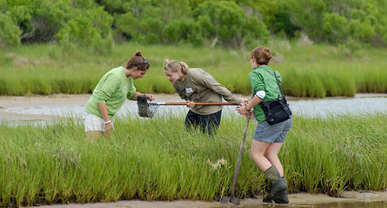 bioblitz-9261632