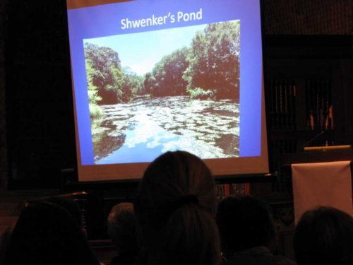 navesink-rally-081116-4-500x375-3387050