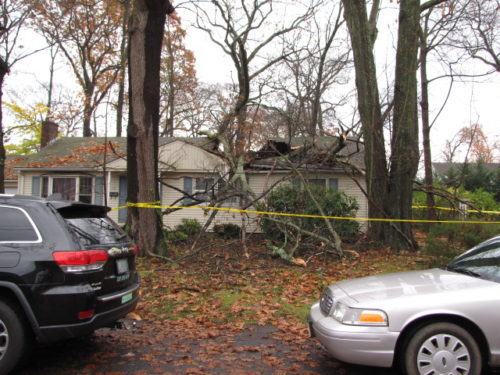 h-tree-fall-113016-2-500x375-6609252