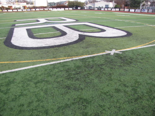 rb-basie-turf-120516-5-500x375-4570124