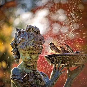 peter-smejkal-morning-bath-4546289