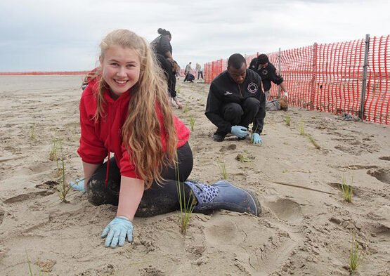 sandy-hook-dune-grass-4673197