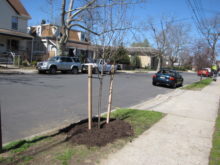 rb-trees-032917-1-220x165-6657279