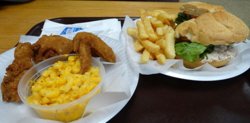 042617chickenkitchen4-500x246-9418931