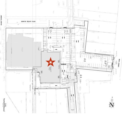 trtc-site-plan-042117-1-500x470-4501906