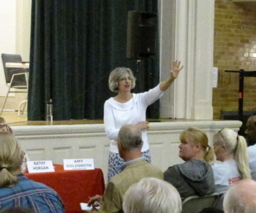 amy-goldsmith-101816-500x416-7851996