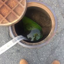 rb-sewer-dye-041917-burnham-220x220-8361870
