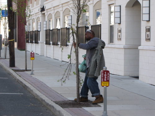 rb-tree-vandal-041317-1-500x375-5283034
