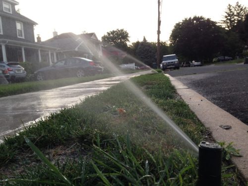rb-sprinkler-073117-500x375-6990579