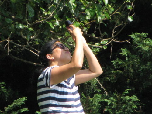 partial-eclipse-082117-8-500x375-7695036