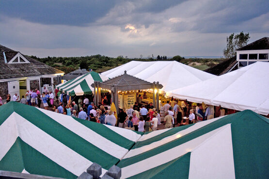 end-of-summer-party-tents-3884460