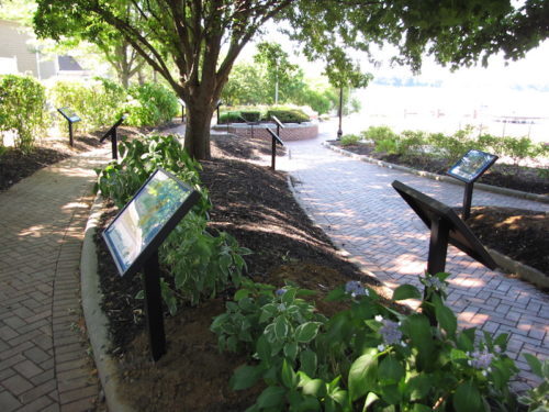 rb-story-walk-071018-3-500x375-5970585
